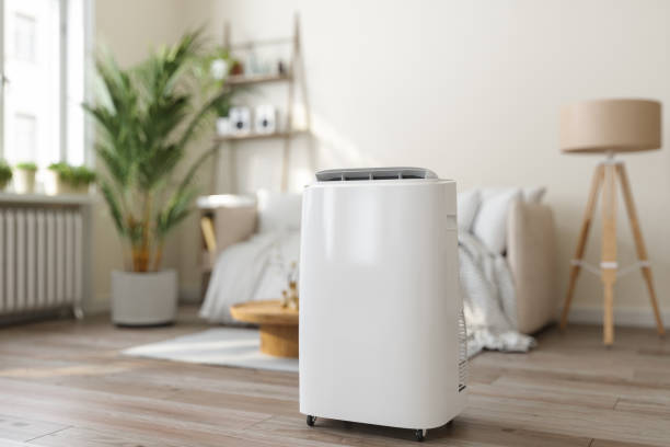 Best Ductless Mini-Split Systems in Greenville, SC